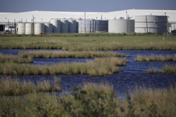 Ceny ropy idą w dół. OPEC+ może obniżyć dostawy