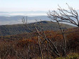 Galeria Polska - Bieszczady, obrazek 3