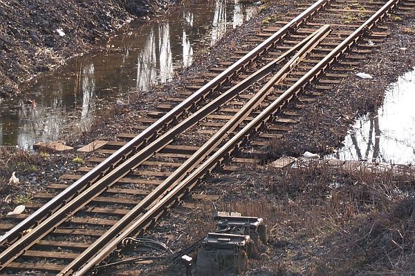 Najpierw „oczywista oczywistość”: szybki tabor kupuje się, kiedy ma się odpowiednie tory, system zasilania i sterowania ruchem. A teraz realia. Argumenty o nieprzygotowaniu infrastruktury PKP do kursowania Pendolino były podnoszone w mediach na długo przed podpisaniem umowy z Alstomem. Prezesi PKP zbywali to obietnicami, że zakup wymusi niezbędne inwestycje. Z kolei przedstawiciele Alstomu zapewniali, że Pendolino to pojazd „przyjazny infrastrukturze”. Z dzisiejszego punktu widzenia można powiedzieć, że jest to szorstka przyjaźń. Jak ujawniliśmy w połowie listopada, przyszłe trasy to jeden wielki plac budowy. Na ponad dwa tygodnie przed inauguracją pociągi muszą się przepuszczać na odcinkach jednotorowych. Na południe od Warszawy dzieje się tak między Grodziskiem Mazowieckim a Białą Rawską oraz na odcinku Strzałki – Idzikowice. Potwierdzają to tzw. dzienniki ostrzeżeń maszynistów z 16 listopada, do których dotarliśmy. Dla przykładu: most kolejowy nad Pilicą na trasie z Warszawy do Katowic zbudowany jest dopiero w połowie szerokości. Między Olszamowicami a Górą Włodowską – w drodze ze stolicy do Katowic – zamiast wiaduktów nad torami co najmniej przez kilka miesięcy będą przejazdy z rogatkami. Czyli pociąg będzie zwalniał. Z kolei warta ponad 10 mld zł modernizacja linii do Gdańska, według zapewnień PKP PLK sprzed lat, miała się zakończyć do połowy 2011 r. Ale inwestycyjna partyzantka trwa do dzisiaj. Na zdj. Linia E65 na wysokości stacji Mleczewo między Iławą i Malborkiem. Tutaj widać, że niedrożne jest odwodnienie torowiska. Wykonawca ma problem w podmokłym terenie Żuław