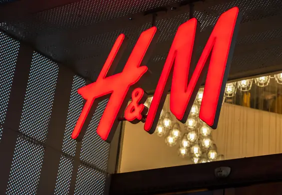 H&M wstrzymuje zakup brazylijskiej skóry - dlaczego to ważne dla lasów Amazonii