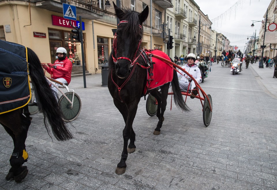 ŁÓDŹ 23. FINAŁ WOŚP (Parada konna na ul. Piotrkowskiej)