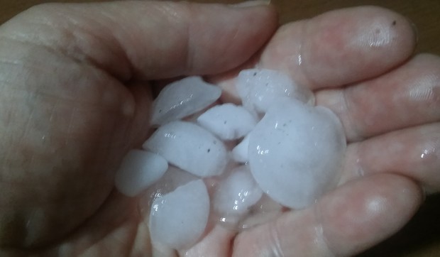 pirot padao grad velicine oraha u pirotu
