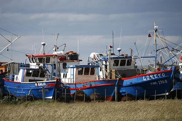 Galeria Chile - między górami a brzegiem oceanu, obrazek 54