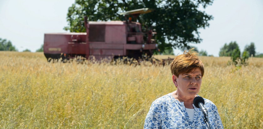 Szydło ruszyła do boju. Będą żniwa!