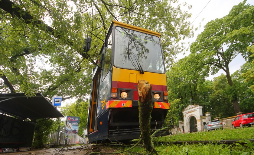 Burza w Łodzi. Na Srebrzyńskiej drzewo spadło na tramwaj. Objazdy