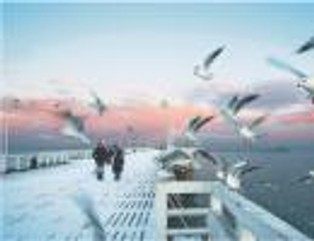 PKP otworzyły nowy dworzec w Sopocie