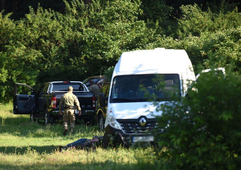 Poszukiwania pumy pod Ogrodzieńcem