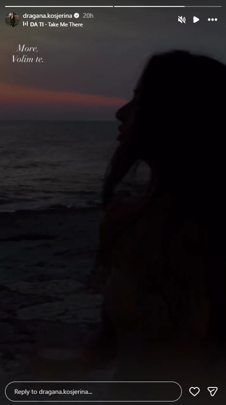 Dragana Kosjerina, objava