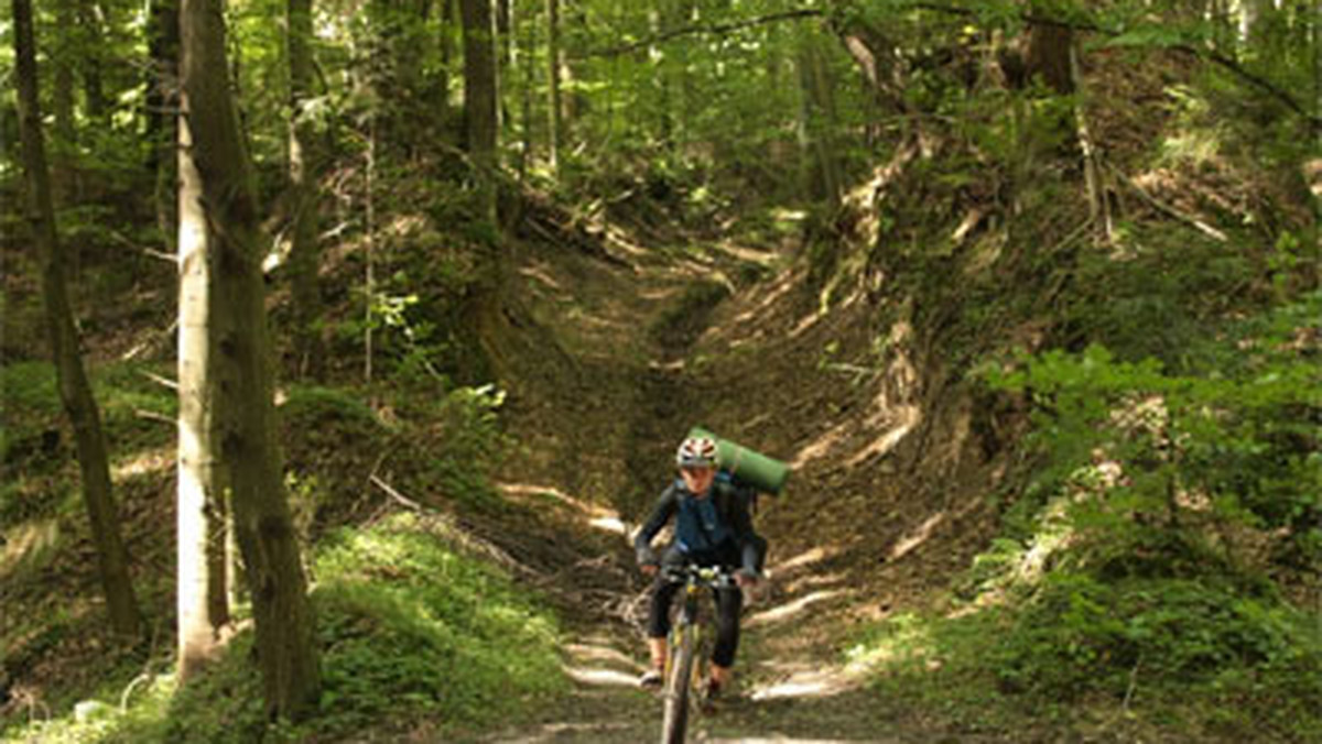 Na przestrzeni niemal 180 km, od Kraśnika aż po Lwów, rozciąga się wyraźnie wypiętrzony wał wzniesień. To Roztocze - kraina uformowana ręką szalonej artystki. Matka natura tworząc tą część świata popisała się niebywałą wręcz fantazją.