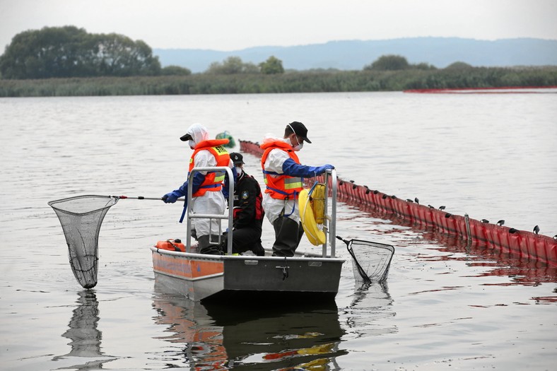 Strażacy wyławiają z Odry martwe ryby (17.08., Żabnica)