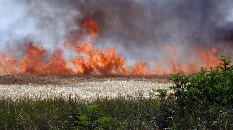 Tűz Emőd határában több száz hektár ég./Fotó : Fuszek Gábor