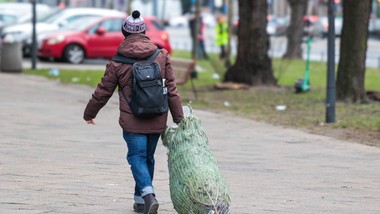 do kiedy można trzymać choinkę w domu i śpiewać kolędy? jest konkretna