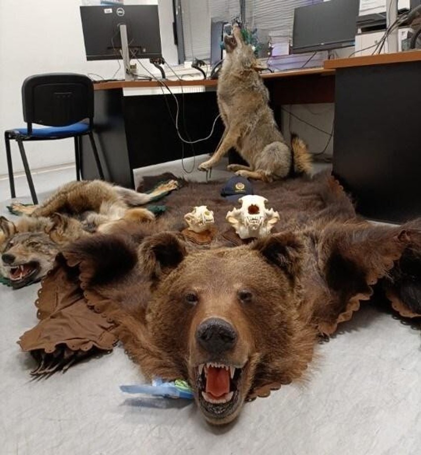 Zaplenjene životinjske vrste