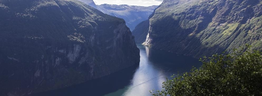 <strong>Rekordowe fiordy</strong>
Najdłuższymi fiordami na świecie są:
<br></br>
    Kangertittivaq (Scoresby Sund) na Grenlandii – 350 km<br></br>
    Sognefjorden w Norwegii – 203 km<br></br>
    Hardangerfjord w Norwegii – 179 km
<br></br>
Najgłębszymi fiordami są:
<br></br>
    Skelton Inlet na Antarktydzie – 1933 m<br></br>
    Kangertittivaq na Grenlandii – 1450 m<br></br>
    Sognefjorden w Norwegii – 1308 m<br></br>
    Canal Messier w Chile – 1288 m
<br></br>