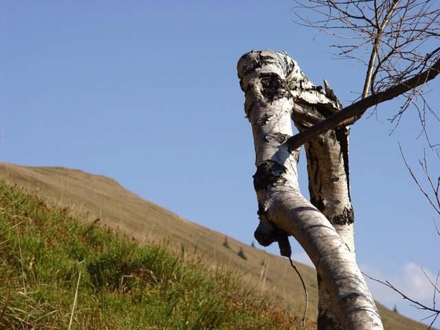 Galeria Polska - Bieszczady, obrazek 8