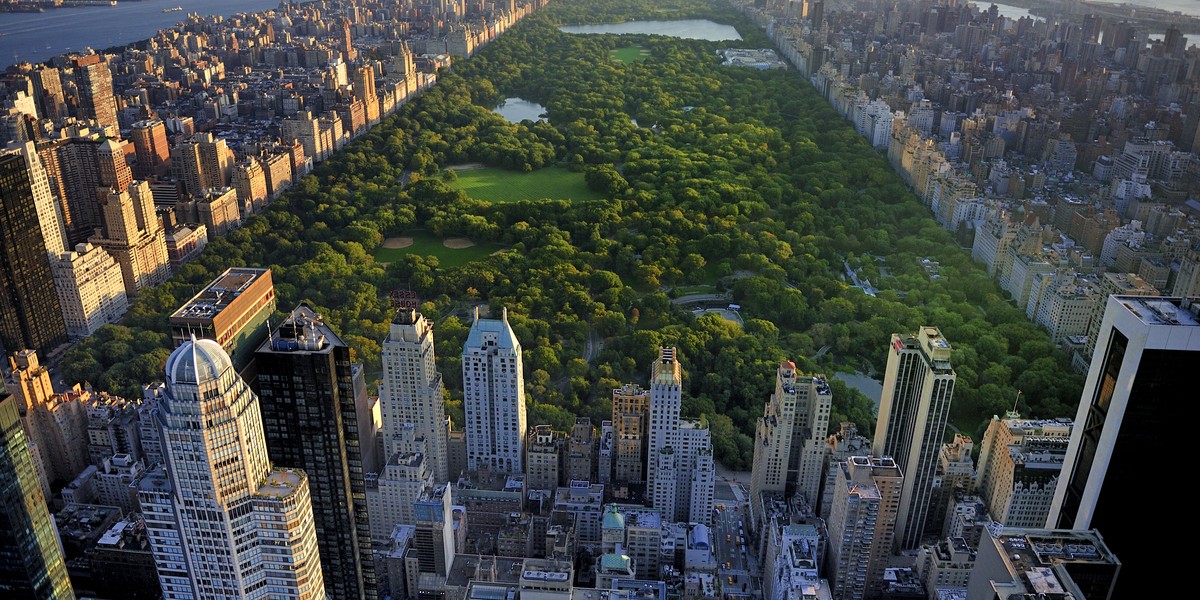 Central Park z lotu ptaka, Nowy Jork, USA. 