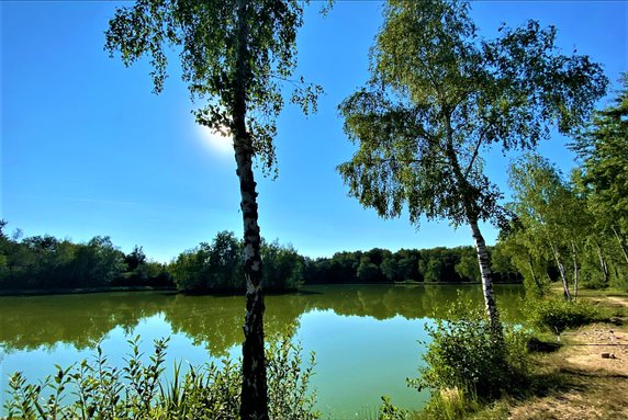 W Krakowie powstanie nowy park! To Park Rzeczny Tetmajera