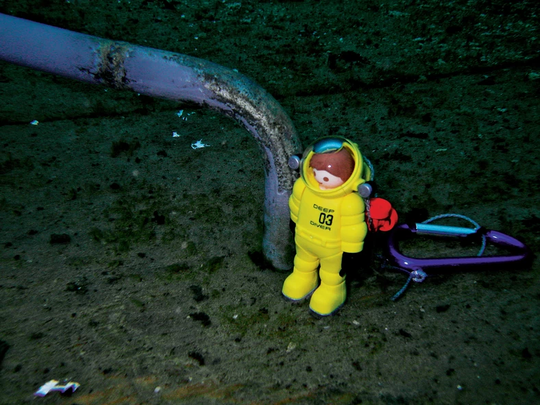 Ricoh robi podwodne zdjęcia o dużo gorszej jakości niż konkurenci. Są ciemne i nieostre. Jako jedyny nie ma programu tematycznego do robienia zdjęć podwodnych. (Zobacz zdjęcie w powiększeniu - kliknij w miniaturkę).