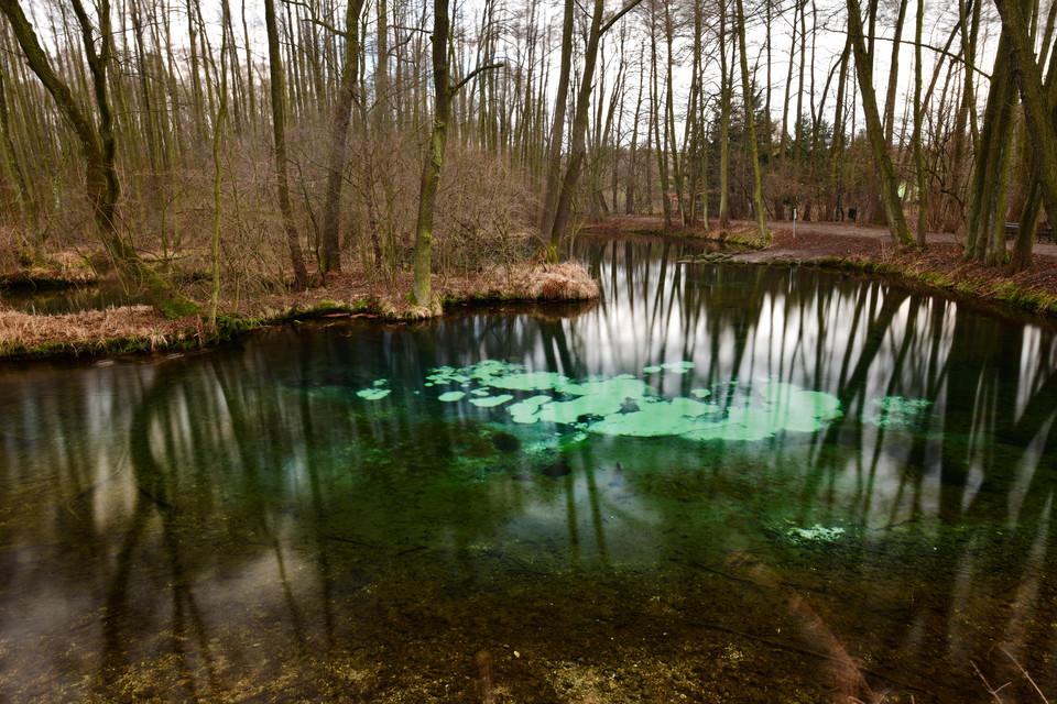 Rezerwat Niebieskie Źródła (woj. łódzkie)