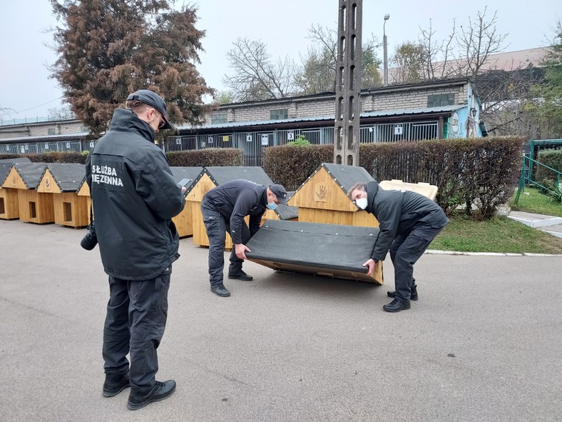 Schronisko dla Zwierząt w Białymstoku ma 15 starych-nowych psich bud