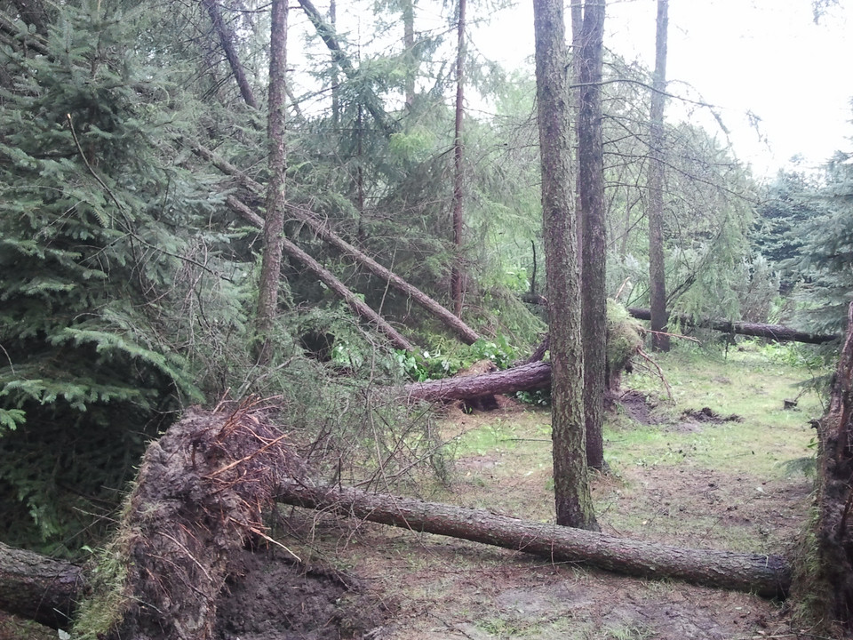 Laski koło Olkusza po nawałnicy, Fot. Daj znać