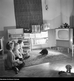 Afera w sprawie abonamentów RTV. Horrendalne kary, masowe egzekucje i bunt abonentów. Wkracza RPO