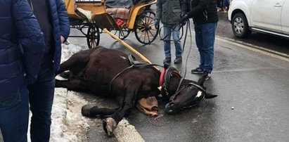 Spłoszony koń biegł przez Krupówki. Wpadł na dziecko