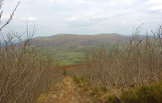 Galeria Polska - Bieszczady, obrazek 26