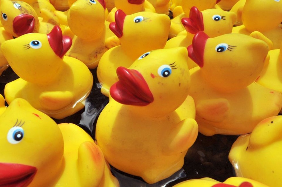 Duck Race