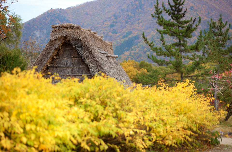 Shirakawa-go