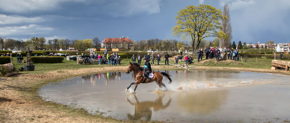 Wszechstronny Konkurs Konia Wierzchowego