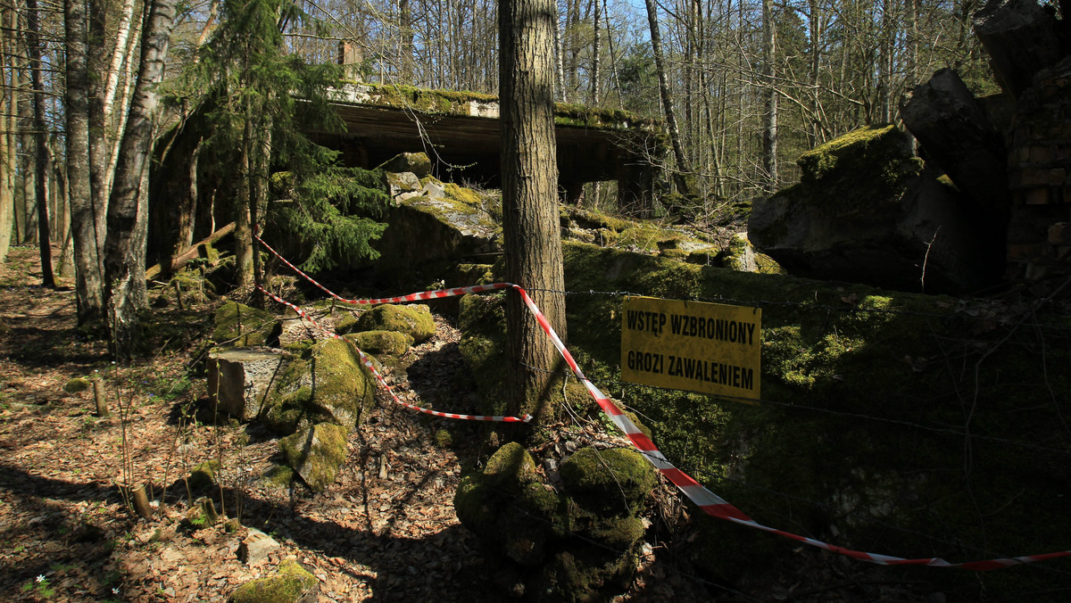 Lasy Państwowe boją się o zaległości za Wilczy Szaniec. Spółka, która dzierżawiła dawną kwaterę Hitlera, chce ogłosić upadłość.