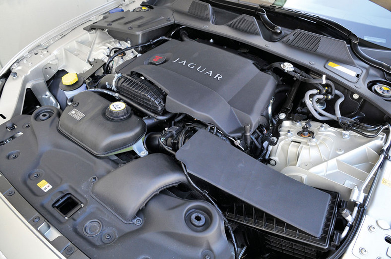 Jaguar XJ 3.0 D: Kot z nowego miotu