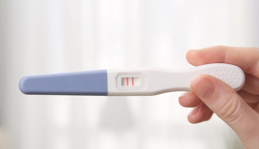terhessegi_teszt