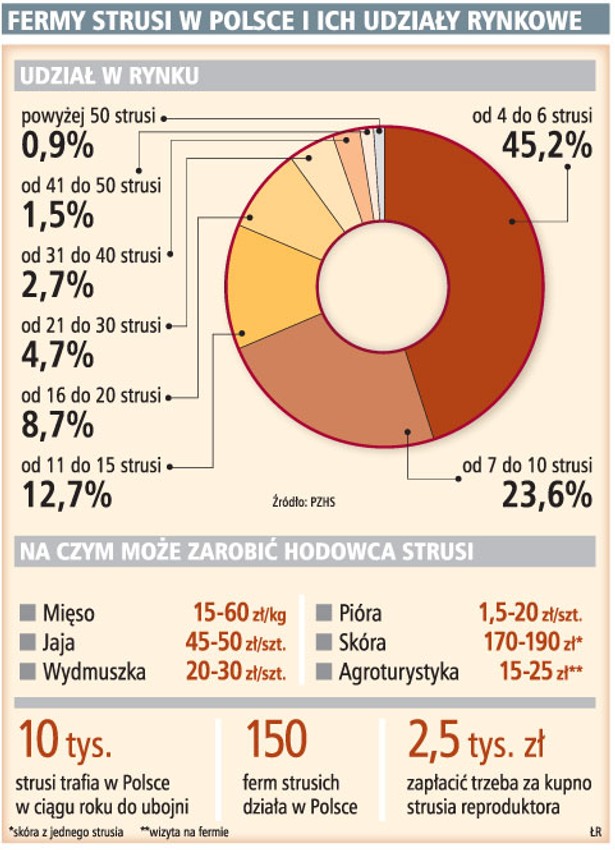 Fermy strusi w Polsce i ich udziały rynkowe