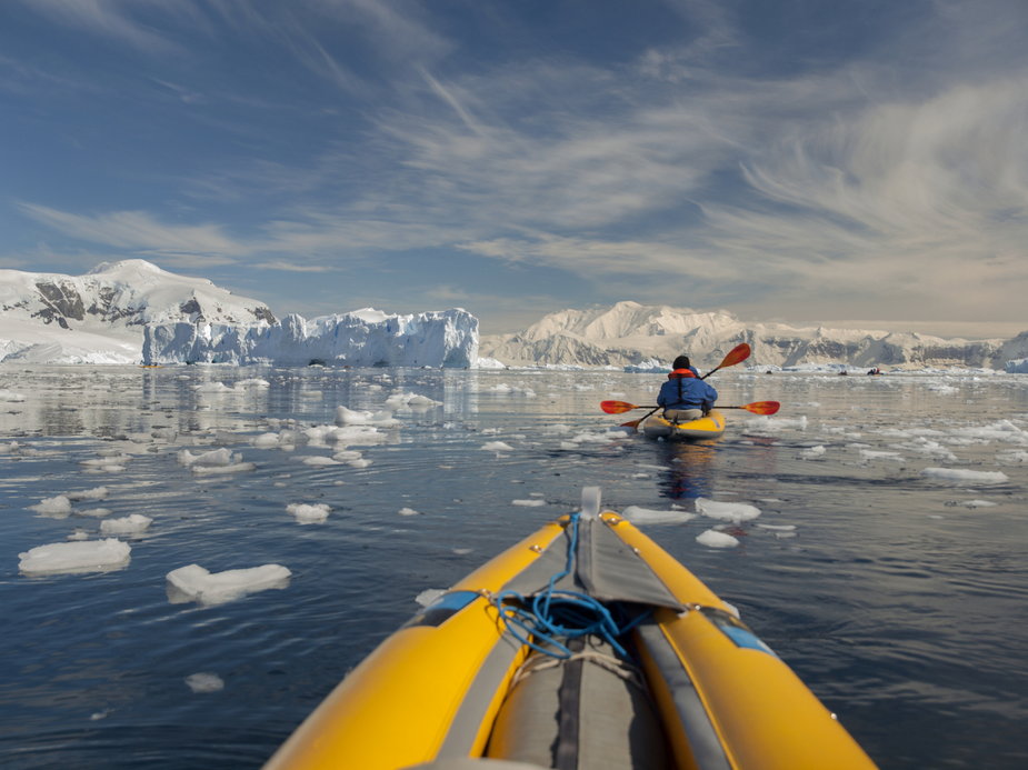 Antarktyda nadal kryje wiele tajemnic. Mało kto wiedział, że na kontynencie żyje tylko jeden owad na wolności. / fot. Jay Dickman/Getty Images