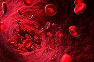 Human red blood cells, artwork