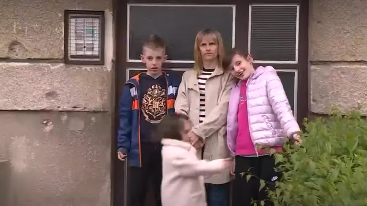 Porodica Nezir
