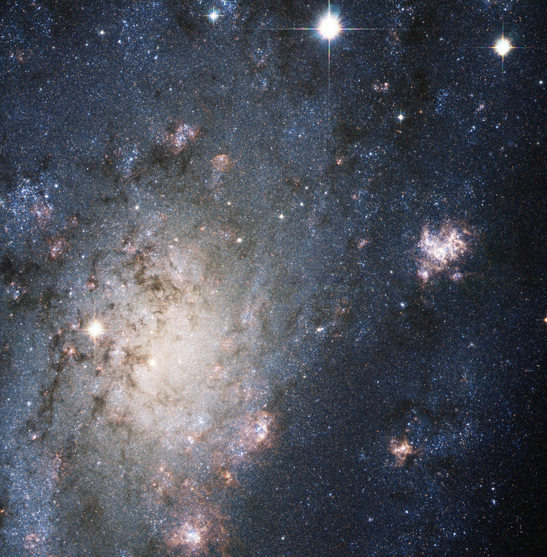 C7 - NGC 2403