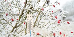 ekstremalne ochłodzenie w drodze. nocą nawet do -30 stopni mrozu!