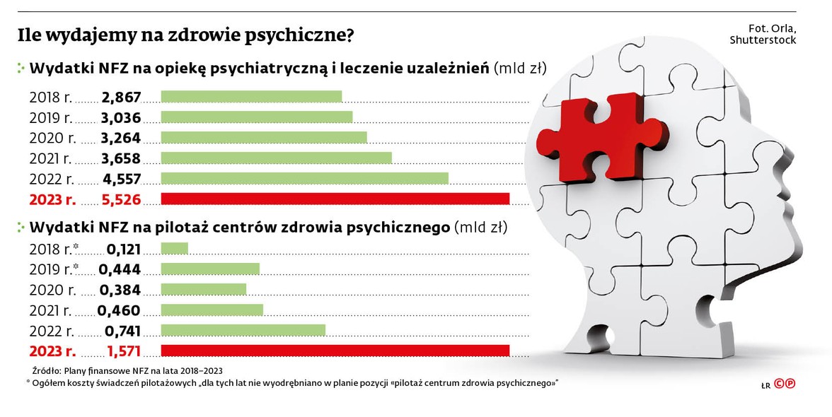 Ile wydajemy na zdrowie psychiczne?