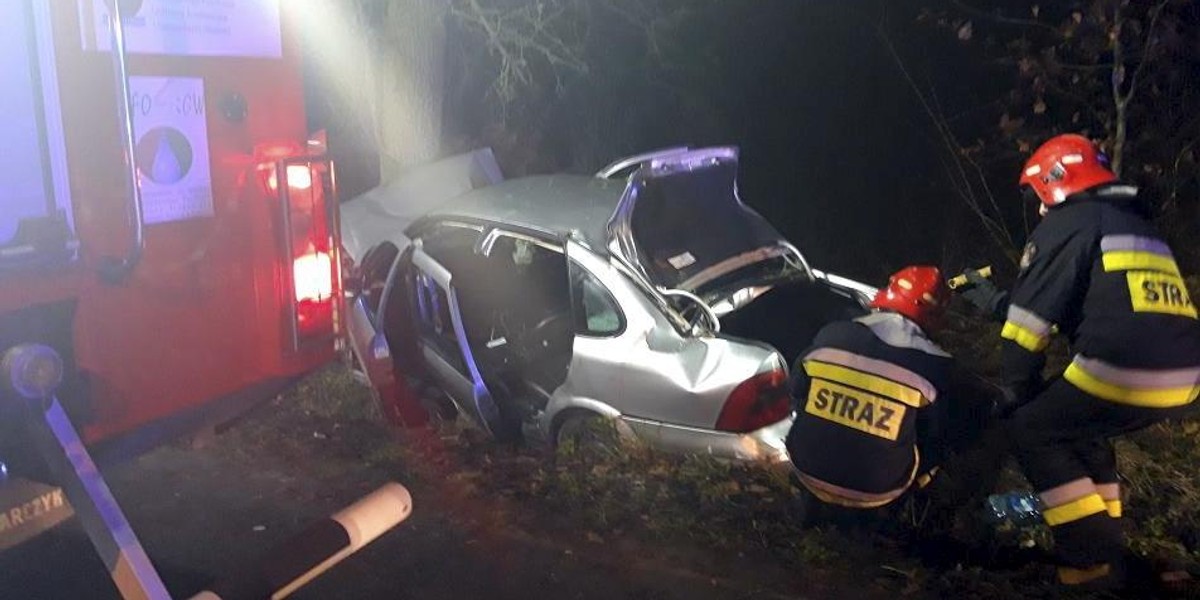 Auto uderzyło w drzewo. W środku było osiem osób, jedna zginęła