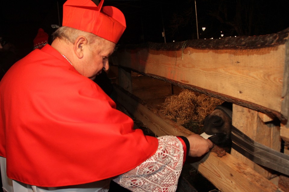 Szopka i choinka na ul. Franciszkańskiej