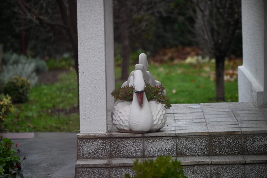 Mesto ubistva u Čačku