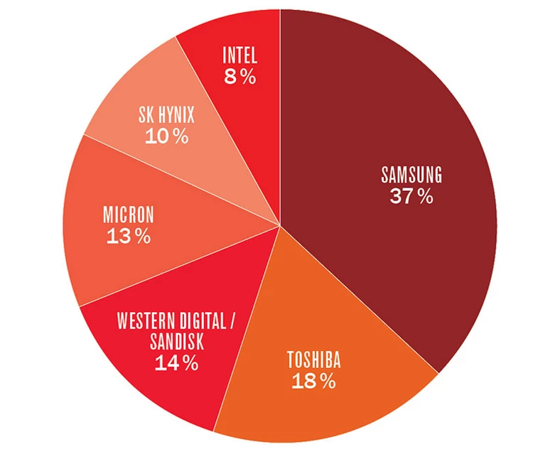 Na całym świecie jest sześć dużych firm produkujących moduły pamięci dla SSD. Zdecydowanym liderem branży jest Samsung: co trzeci moduł SSD na świecie został wyprodukowany przez południowokoreański koncern. Znany głównie z produkcji procesorów Intel ma w tej dziedzinie mniejsze sukcesy, jego udział w rynku to zaledwie osiem procent
