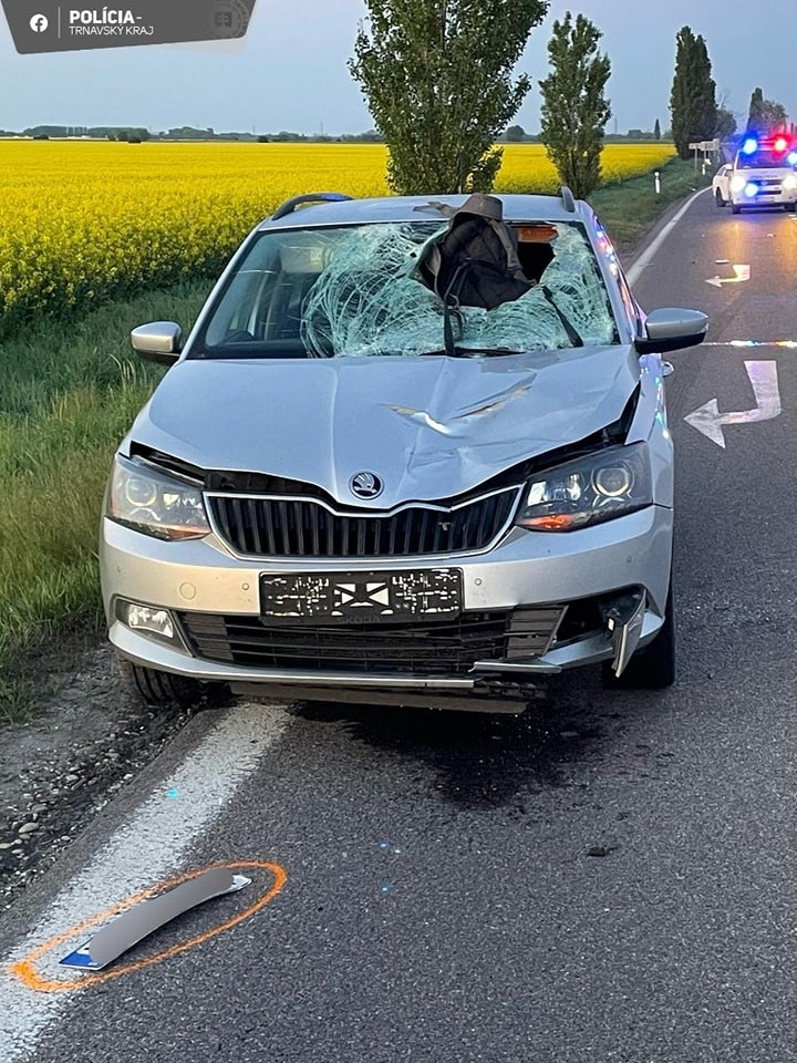 Rannú dopravnú nehodu v okrese Galanta neprežil 26-ročný chodec.