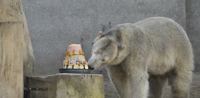 Ależ ten tort jest pyszny!