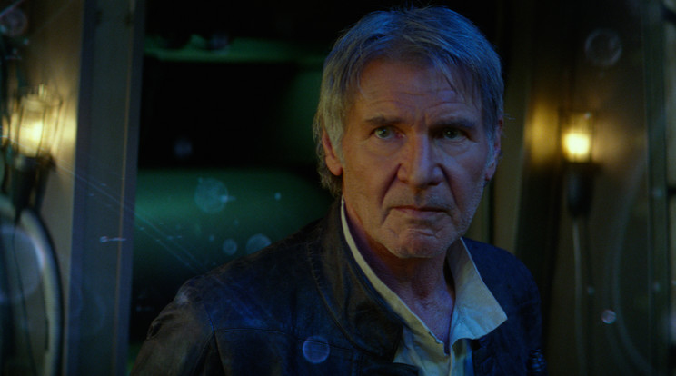Harrison Ford jótékonyságra fordítja a befolyt összeget /Fotó: Northfoto