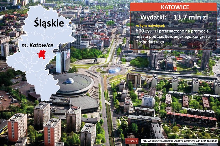 Liderem promocji w 2014 r. okazały się Katowice. Wydatki na promocję miasta zapisane w budżecie na 2014 r. wyniosły 13,7 mln zł. Najwięcej kosztowały działania promocyjne miasta podczas Europejskiego Kongresu Gospodarczego. Na ten cel Katowice przeznaczyły 600 tys. zł. Pokaźny udział w budżecie promocyjnym Katowic miała pozycja gadżety. Na pendrivey, koszulki damskie, męskie i dziecięce i pajacyki miasto wydało łącznie 800 tys. zł.