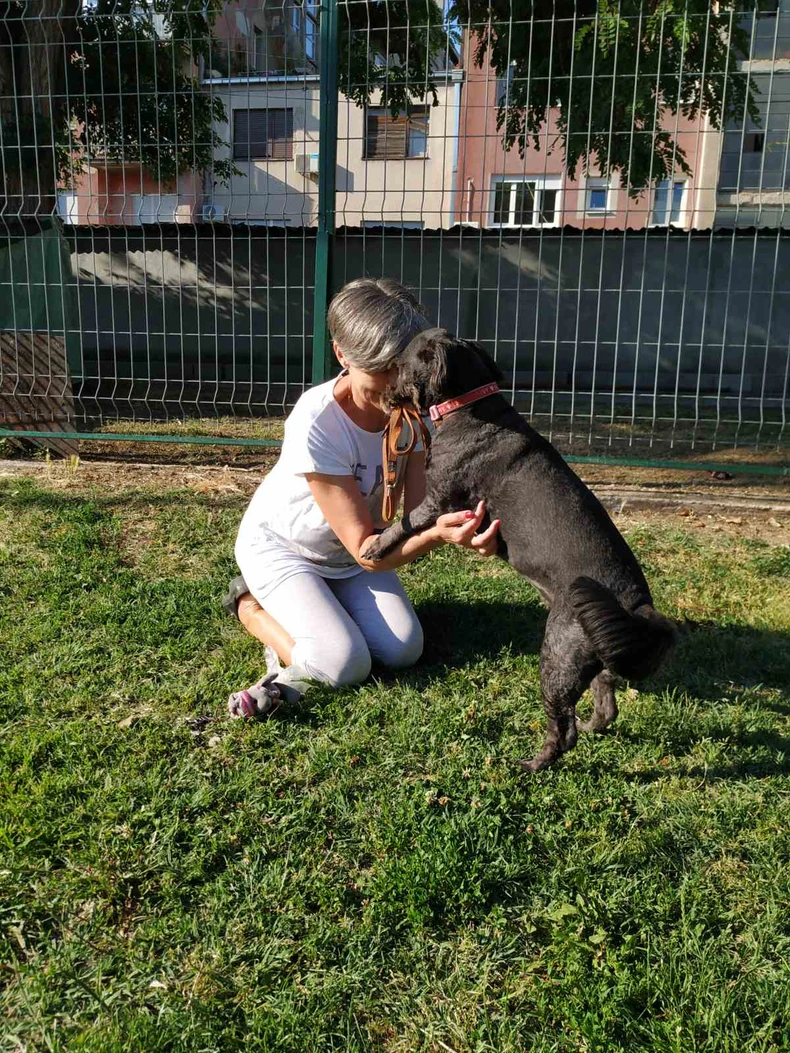 Neizmerna ljubav između Sneže i Bubice